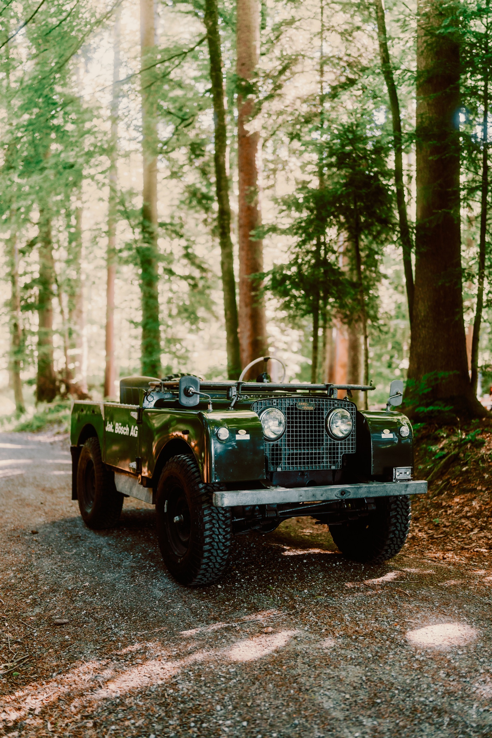 Land Rover Serie 1 Green von vorne im Wald