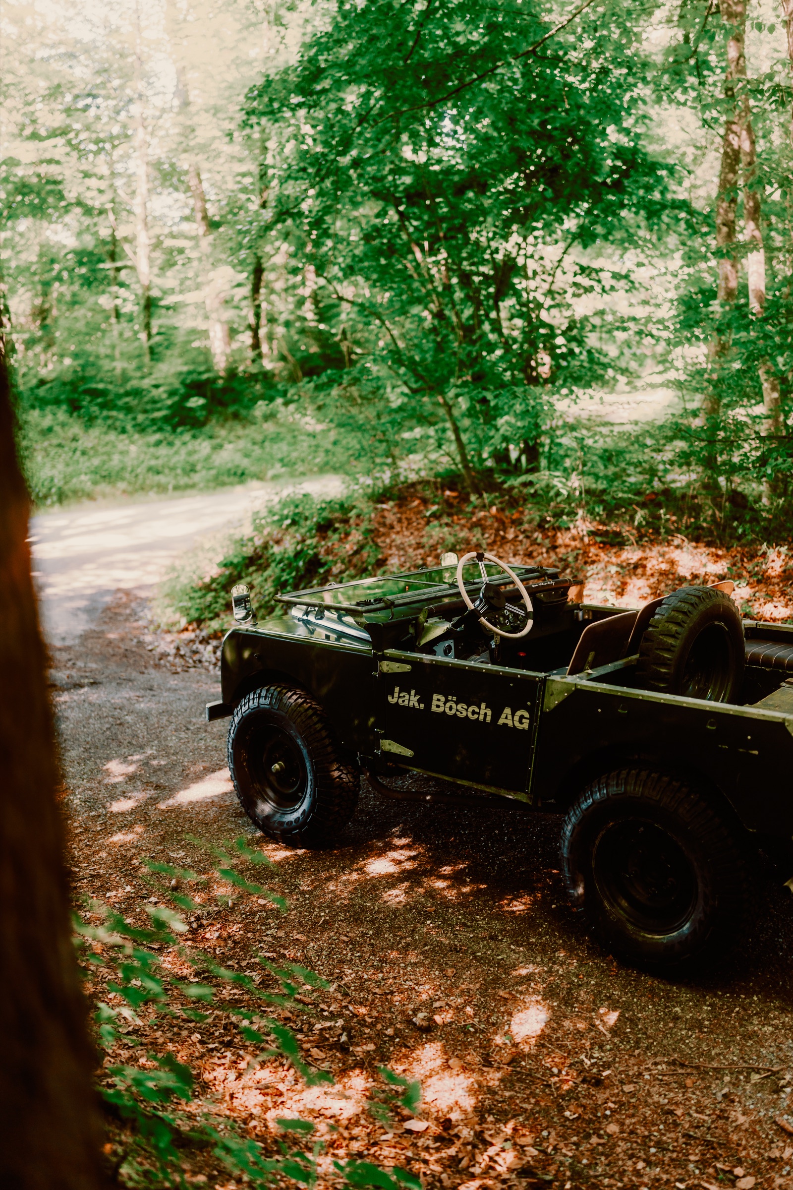 Land Rover Serie 1 Green seitlich im Wald